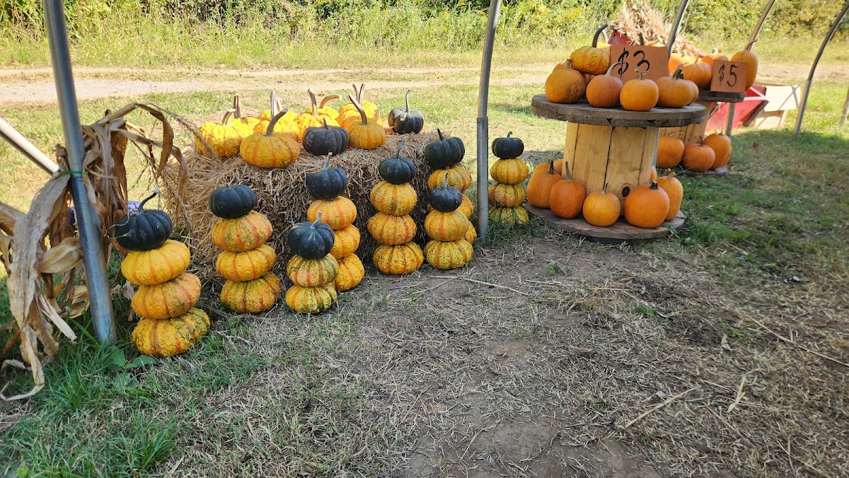 The Patch at Lost Hwy Farms photo 4